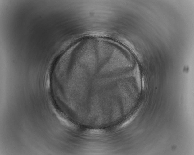 X0000097650205200803211904