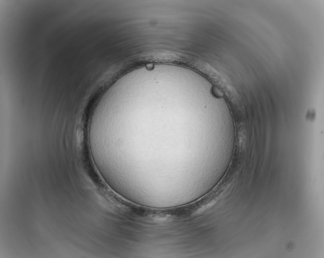 X0000097650206200803211904