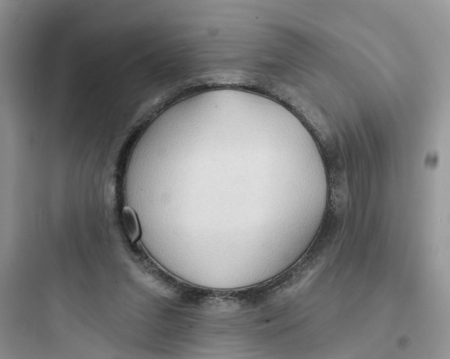 X0000097650207200803211904