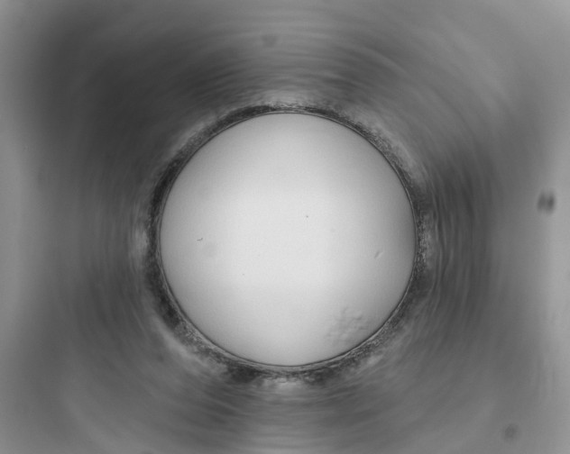 X0000097650208200803211904