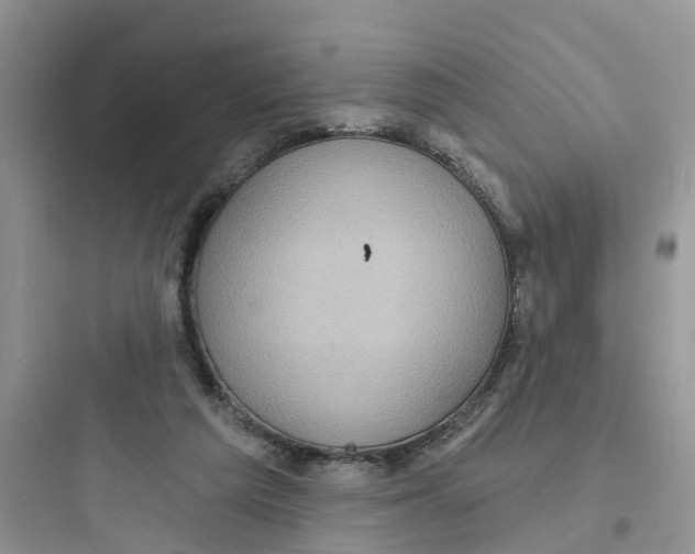 X0000097650209200803211904