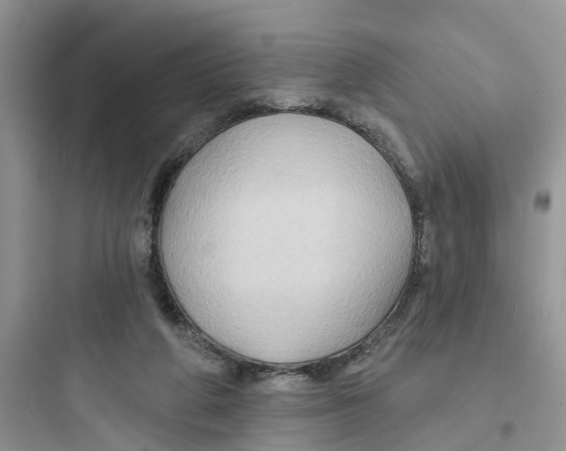 X0000097650210200803211903