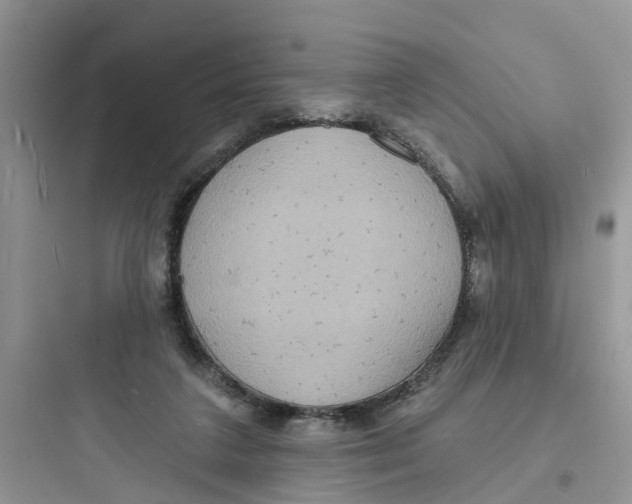 X0000097650211200803211903