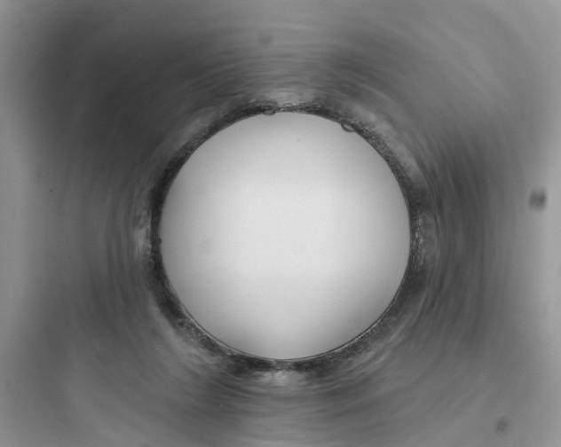 X0000097650212200803211903