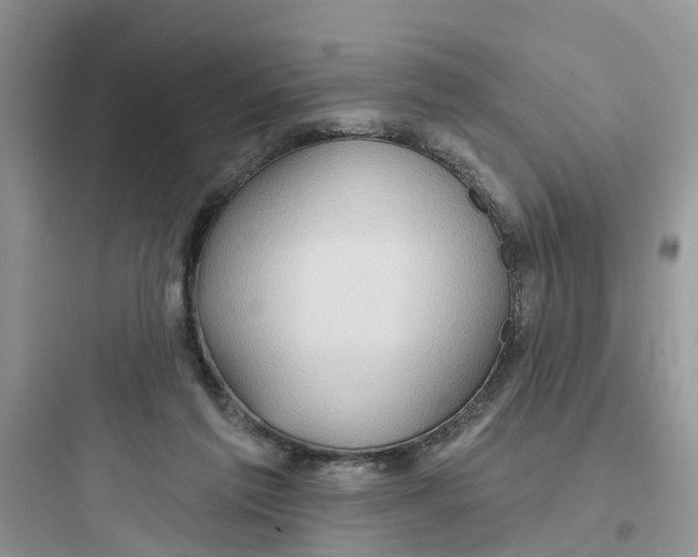 X0000097650213200803211903