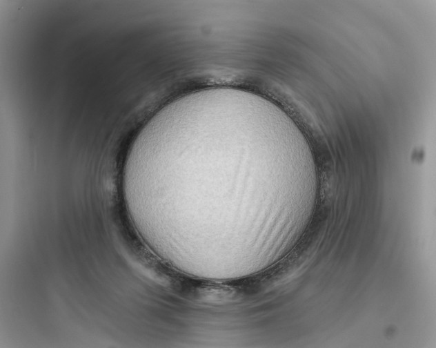 X0000097650215200803211903