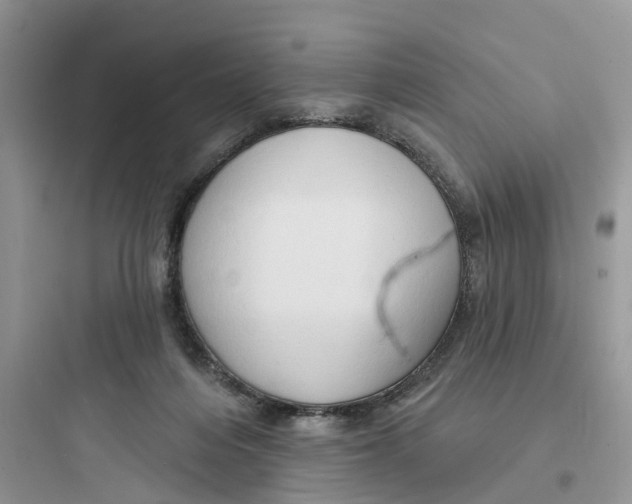 X0000097650216200803211903