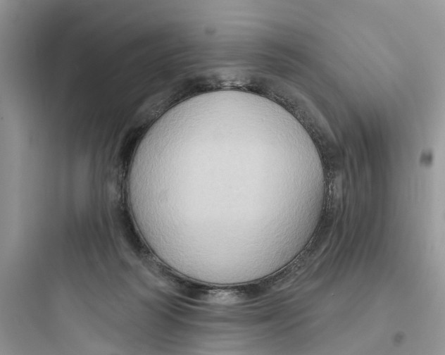 X0000097650218200803211903