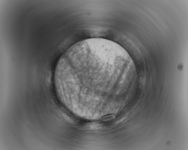 X0000097650219200803211903