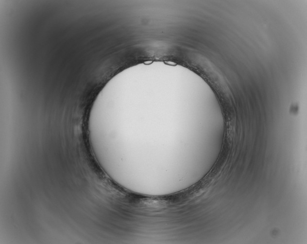 X0000097650221200803211903