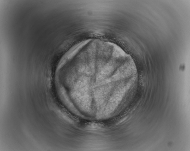 X0000097650223200803211903