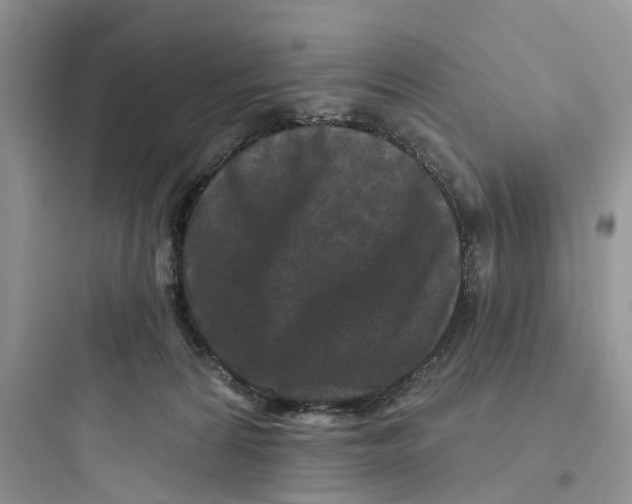 X0000097650224200803211903