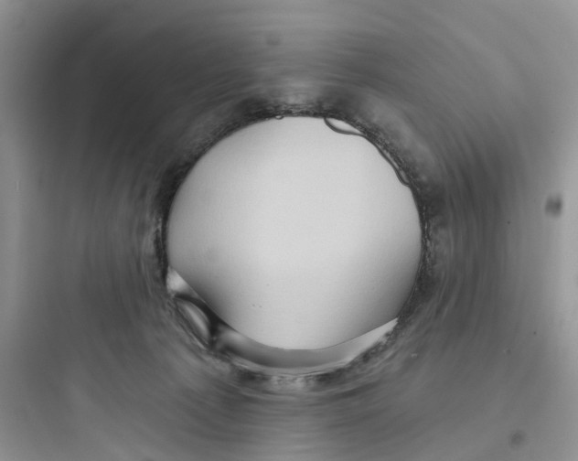 X0000097650225200803211903