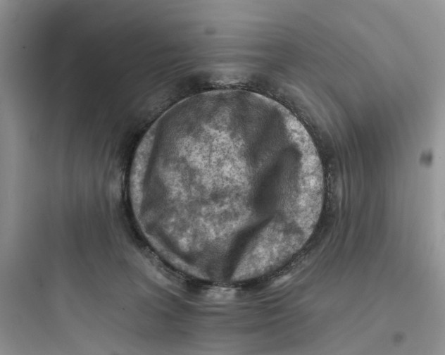 X0000097650227200803211903