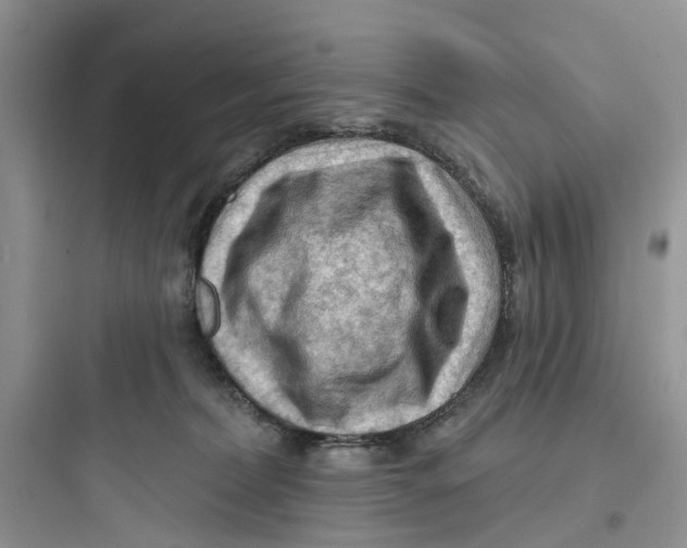 X0000097650228200803211903