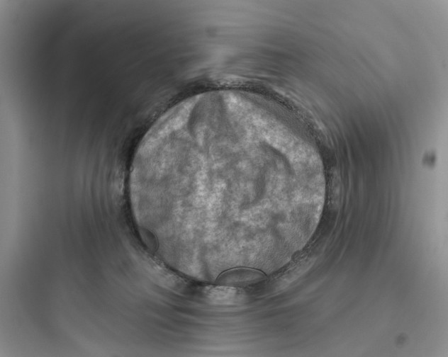 X0000097650230200803211903