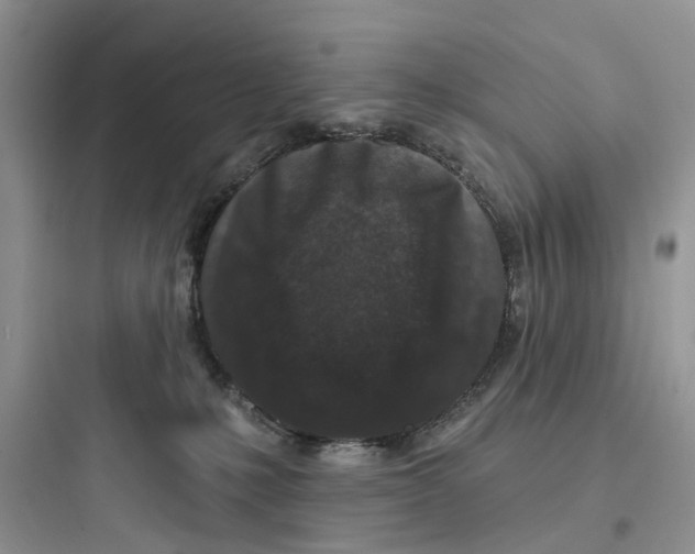 X0000097650231200803211903