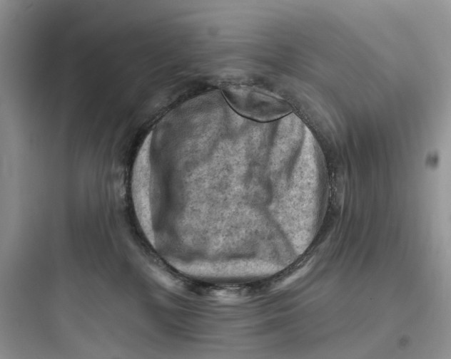 X0000097650232200803211903