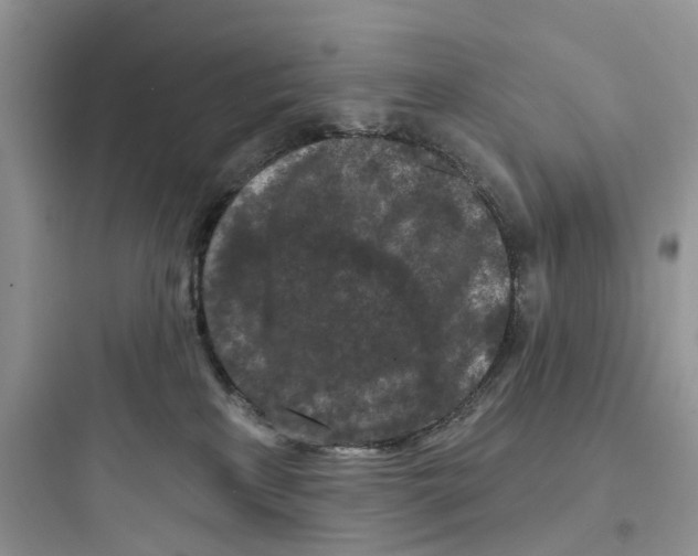 X0000097650233200803211903