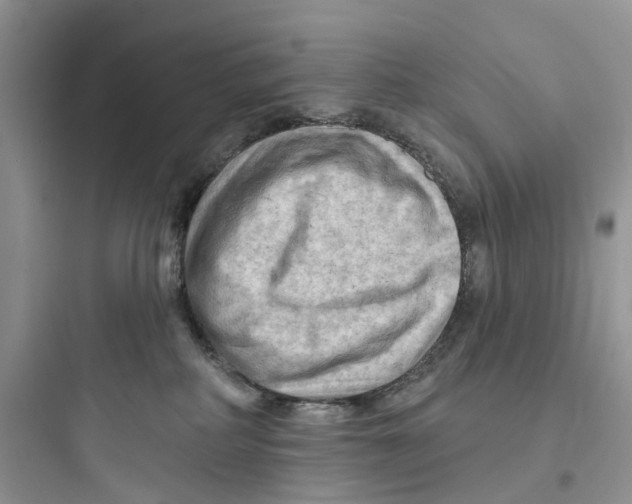 X0000097650234200803211903