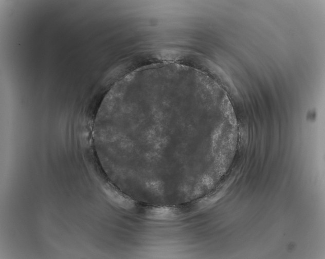 X0000097650237200803211903