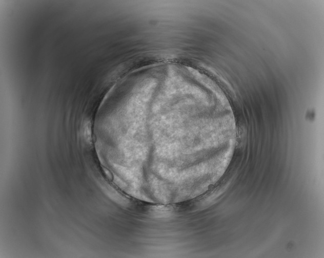 X0000097650238200803211903