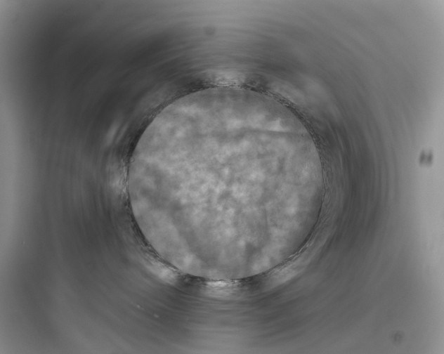 X0000097650240200803211903