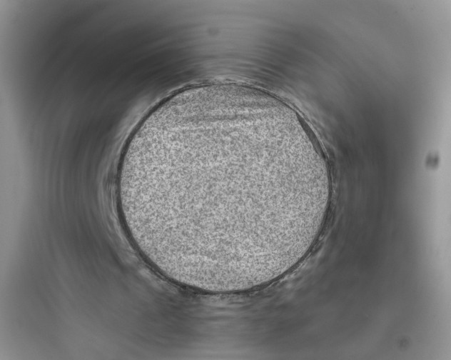 X0000097650241200803211902