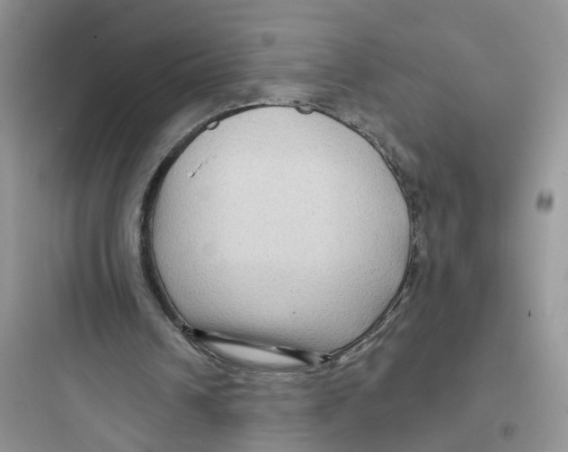 X0000097650242200803211902