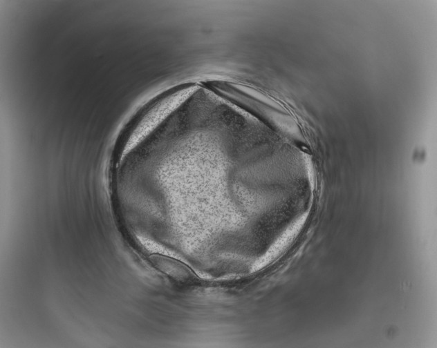 X0000097650244200803211902