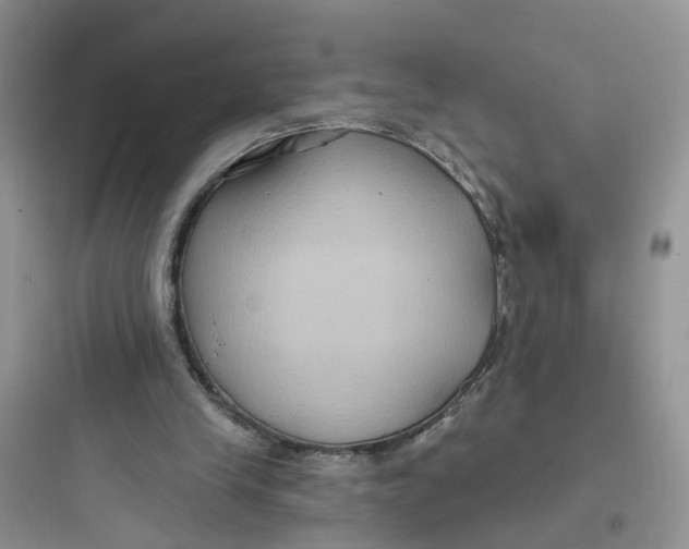 X0000097650245200803211902