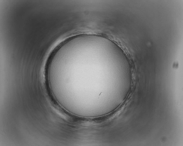 X0000097650246200803211902