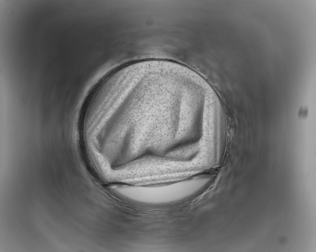 X0000097650248200803211902