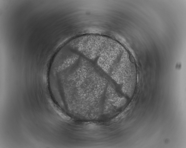 X0000097650249200803211902