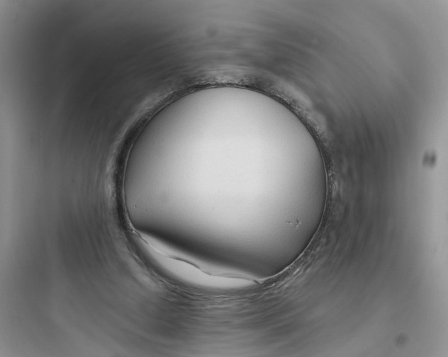 X0000097650250200803211902