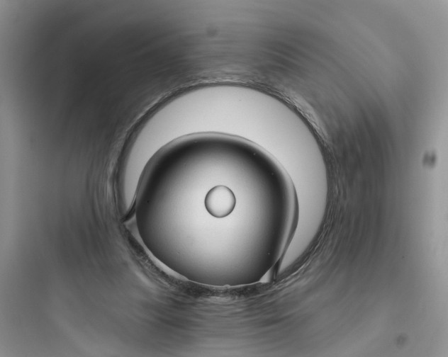 X0000097650251200803211902