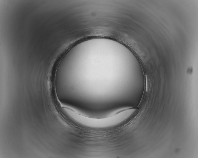 X0000097650252200803211902