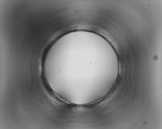 X0000097650253200803211902