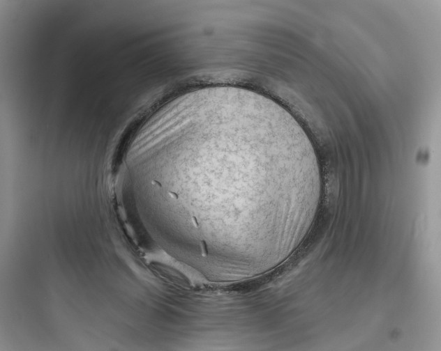 X0000097650254200803211902