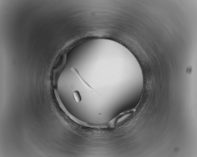 X0000097650256200803211902