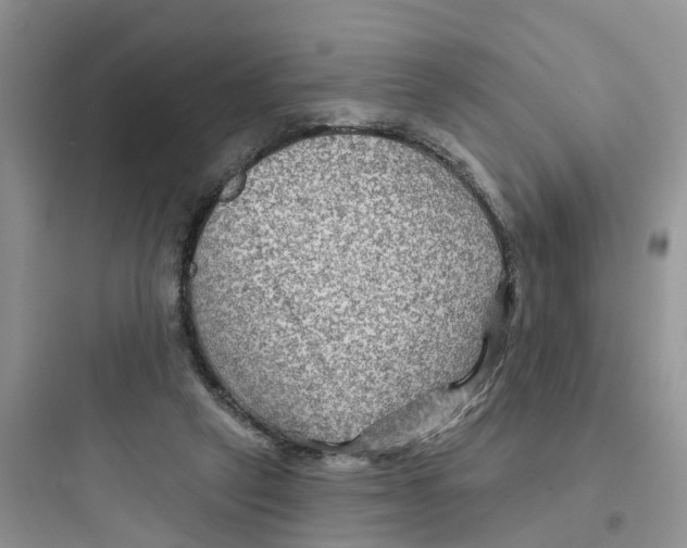 X0000097650257200803211902