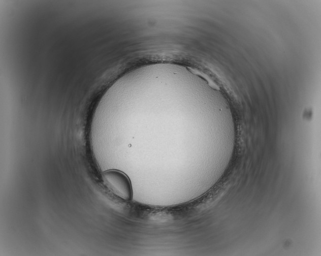 X0000097650258200803211902