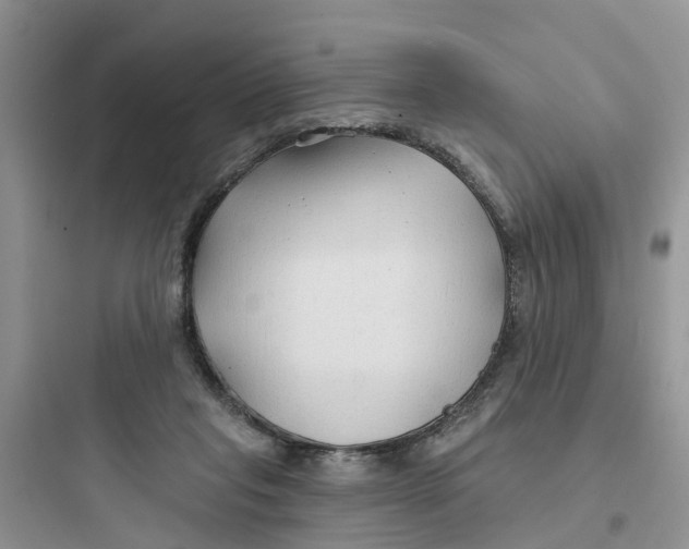 X0000097650261200803211903