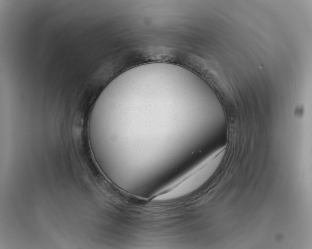 X0000097650263200803211903