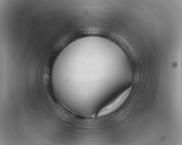 X0000097650264200803211903