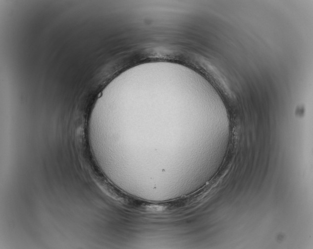 X0000097650265200803211903