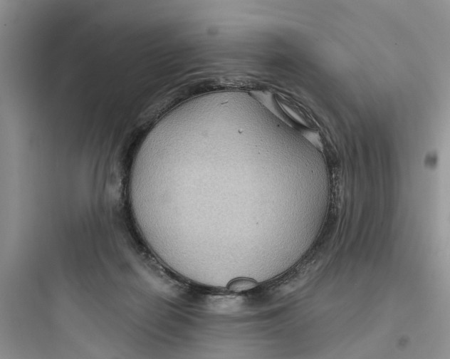 X0000097650266200803211903