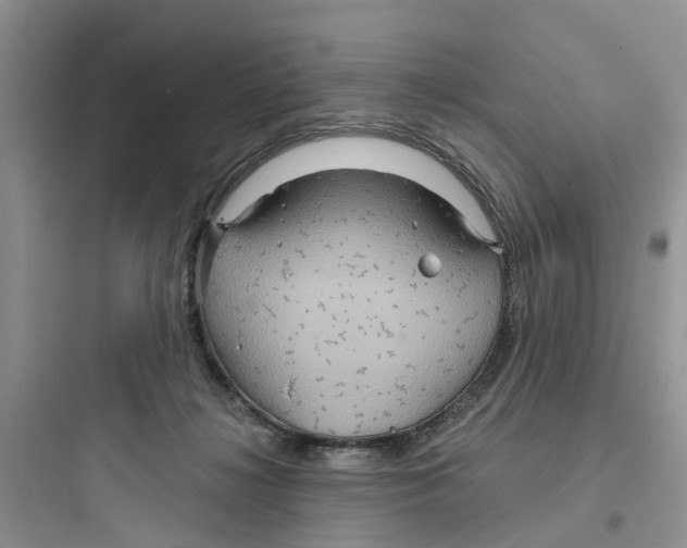 X0000097650268200803211903