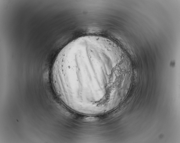 X0000097650269200803211903