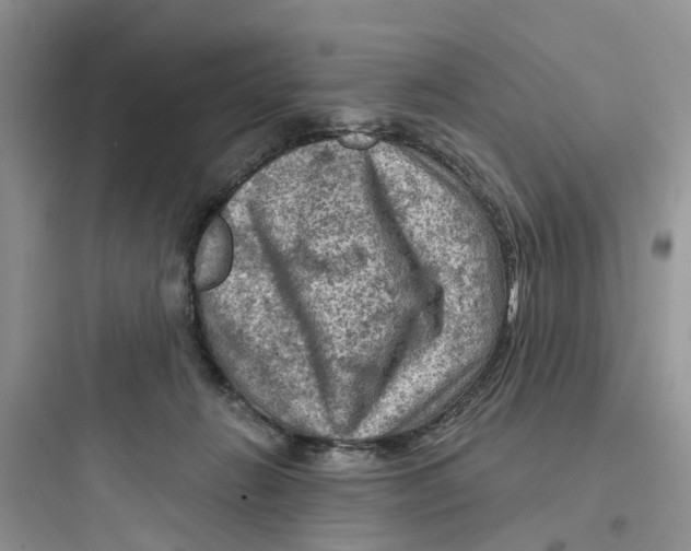 X0000097650270200803211903